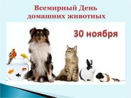 "Всемирный день домашних животных". "Всемирный день домашних животных".