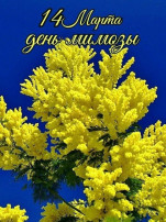 День мимозы День мимозы.
