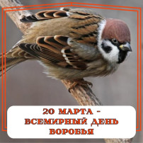 20 марта – Международный день воробья 20 марта – Международный день воробья.