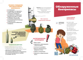 Правила поведения при обнаружении боеприпаса Правила поведения при обнаружении боеприпаса.