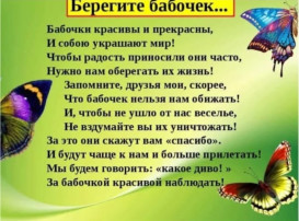 День бабочек День бабочек.