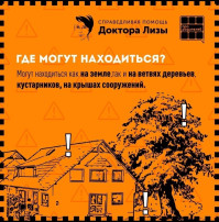 Алгоритм действий при обнаружении мин Алгоритм действий при обнаружении мин.